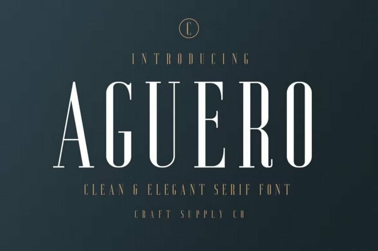 View Information about Aguero Serif Clean & Elegant Font