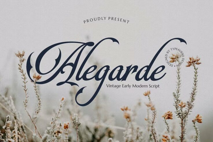 View Information about Alegarde Vintage Early Modern Script Font