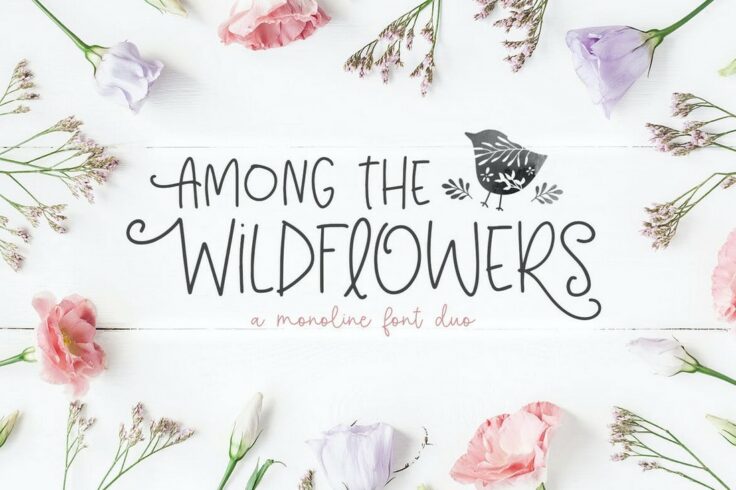 View Information about Among the Wildflowers Skinny Font Duo