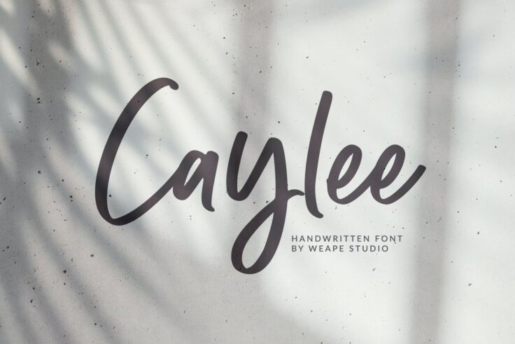 View Information about Caylee- Art Deco Script Font
