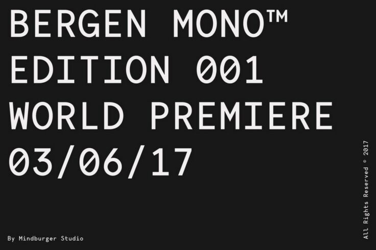 View Information about Bergen Mono