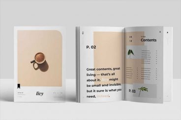 40+ Best InDesign Templates 2024 (For Brochures, Flyers, Books & More)