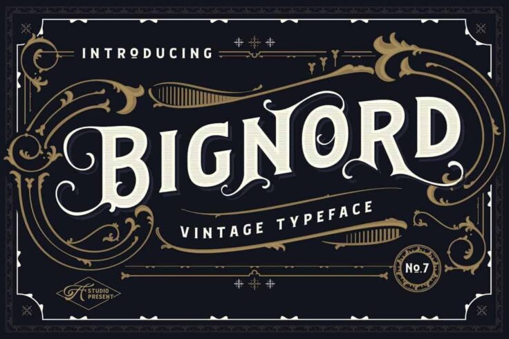 View Information about Bignord Vintage Typeface