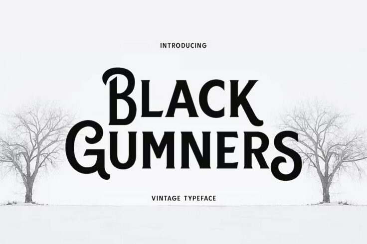 View Information about Black Gumners Simple Vintage Font
