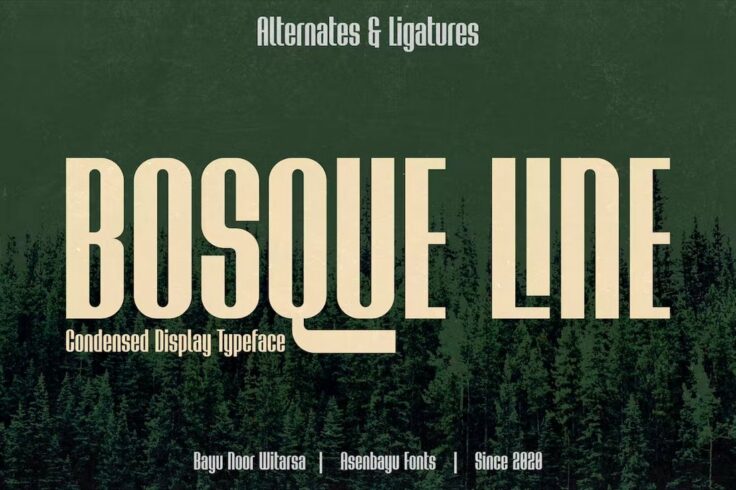 View Information about Bosque Line Vintage Narrow Font