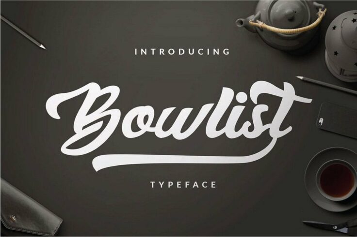 View Information about Bowlist Logo Type Font