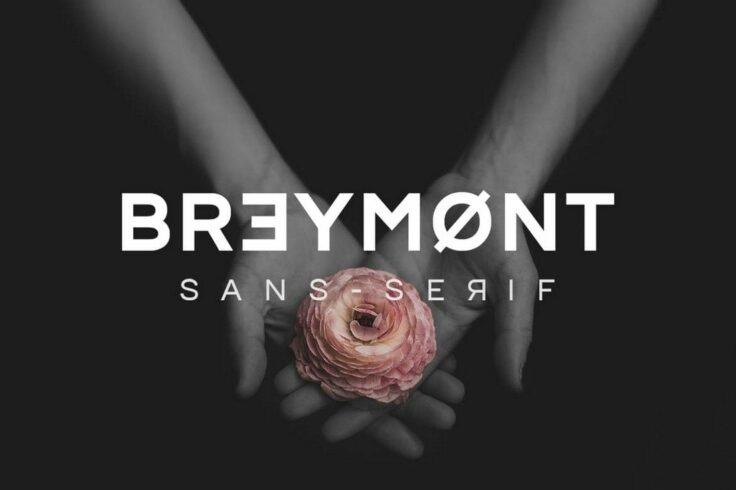 View Information about Breymont