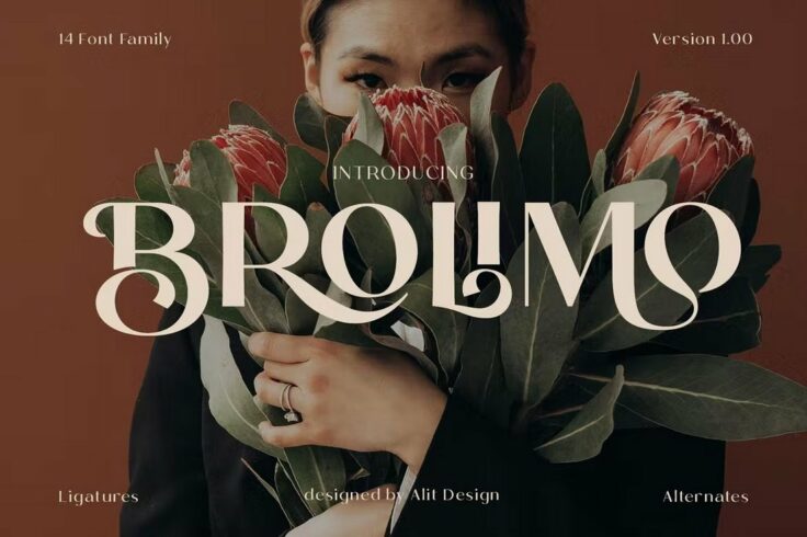 View Information about Bromilo Modern Luxury Font