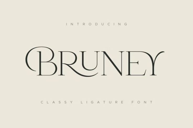 View Information about Bruney Luxury Ligature Font