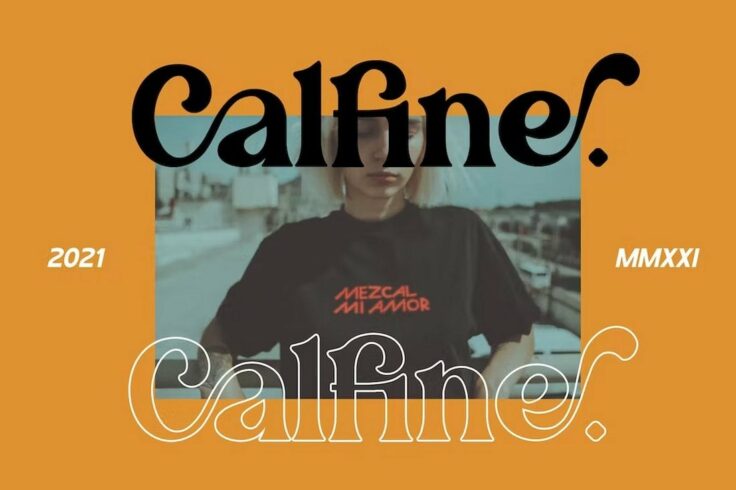View Information about Calfine Stylish Modern Serif Font