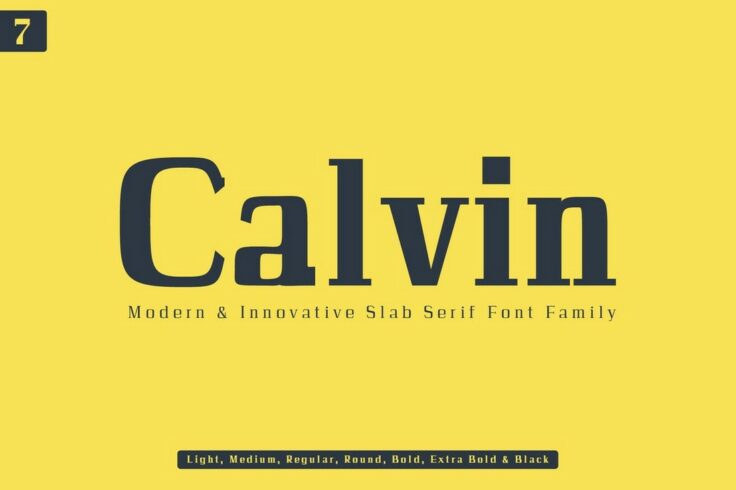 View Information about Calvin Slab Serif Font Family