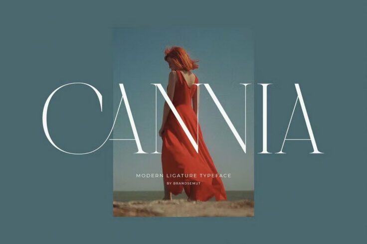 View Information about Cannia Luxury Ligature Font