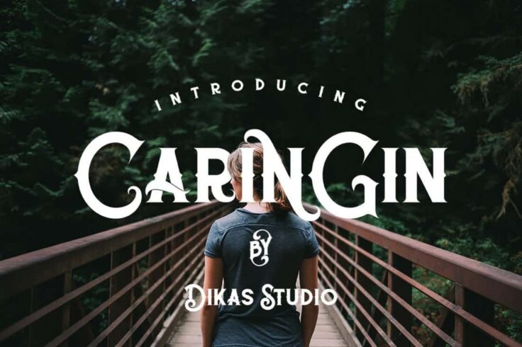 View Information about Caringin Creative Vintage Font