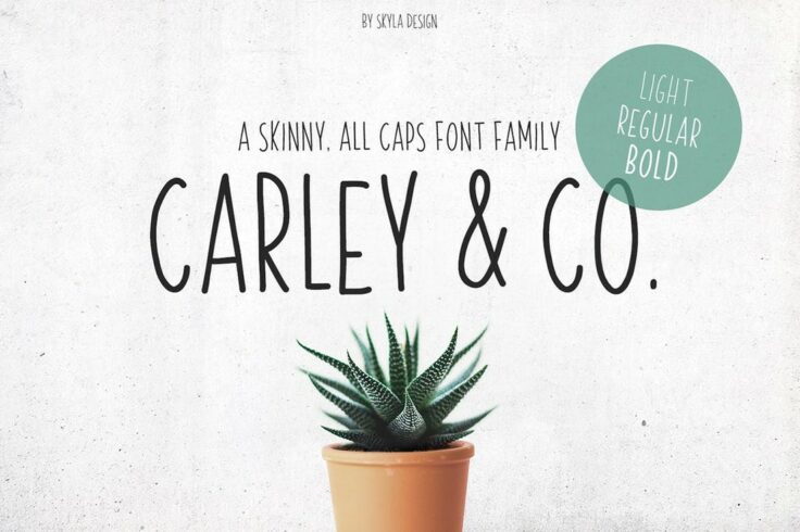 View Information about Carley & Co Skinny Font Family