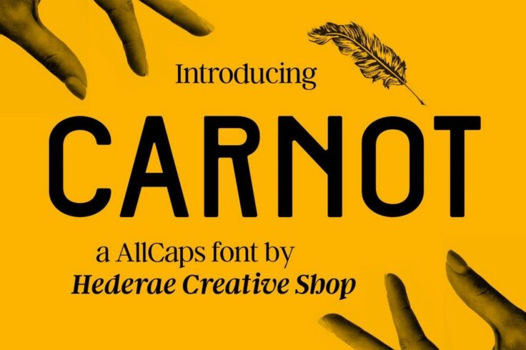 View Information about Carnot All-Caps Font