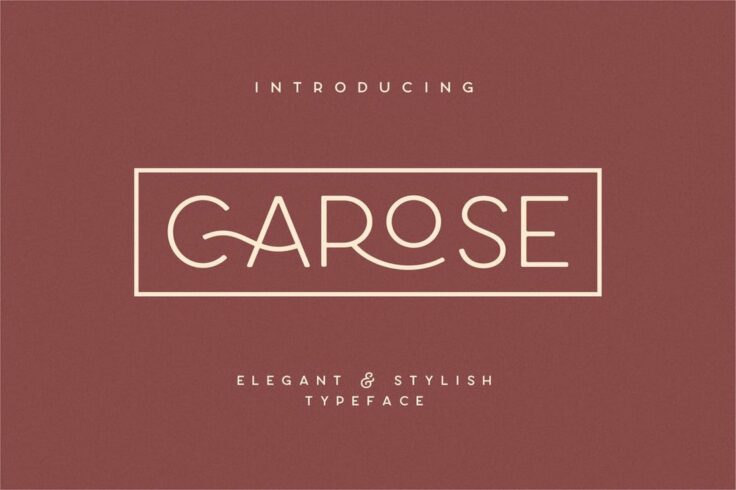 View Information about Carose Sans 6 Elegant Monogram Fonts