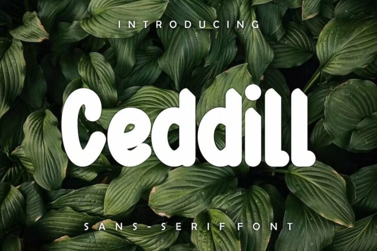 View Information about Ceddil Creative Narrow Font