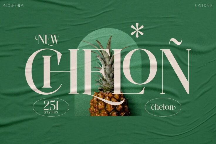 View Information about Chelon Classy Serif Font