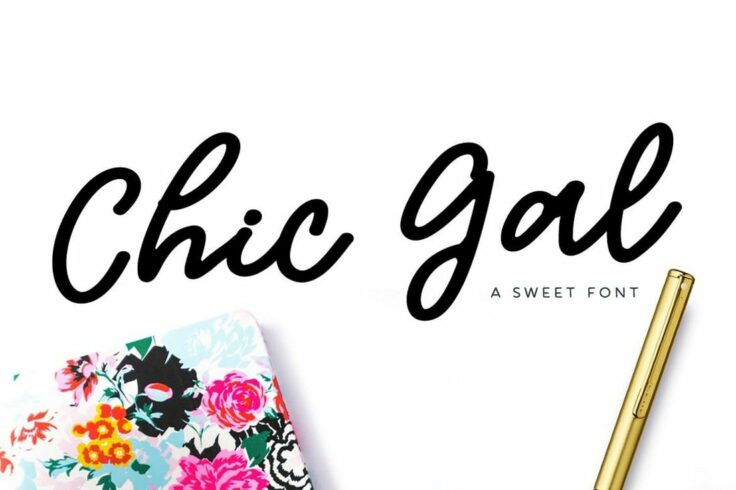 View Information about Chic Gal Modern Script Font