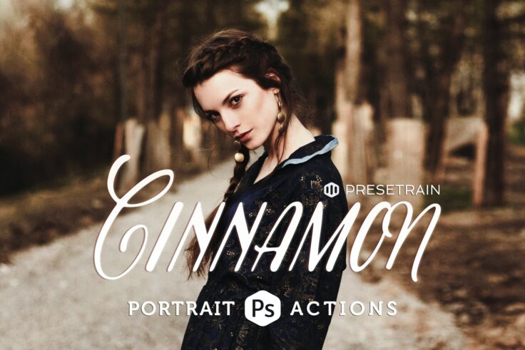 View Information about Cinnamon Instagram Photoshop Filter Actions