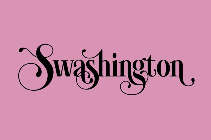 View Information about Swashington Hand Drawn Decorative Font
