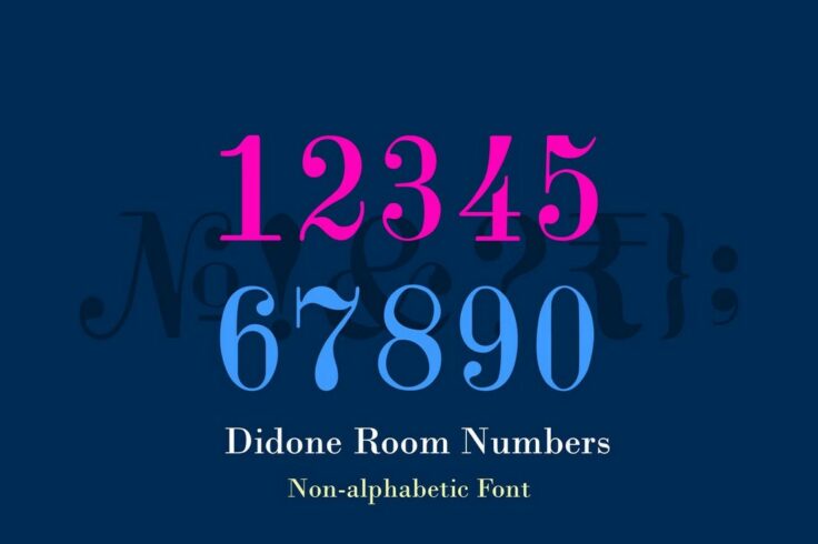 View Information about Didone Room Numbers Display Font