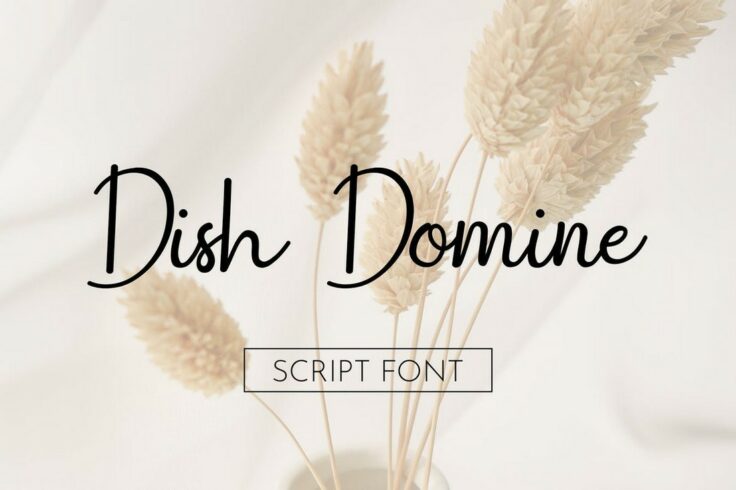 View Information about Dish Domine Handwritten Chic Font