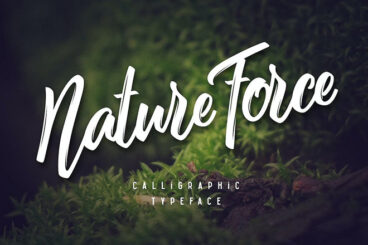 25+ Best Earthy & Nature Fonts 2024