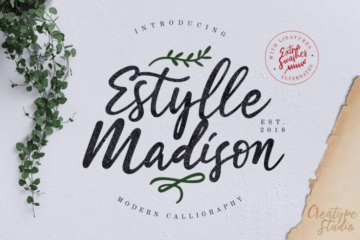 View Information about Estylle Madison Calligraphy Font