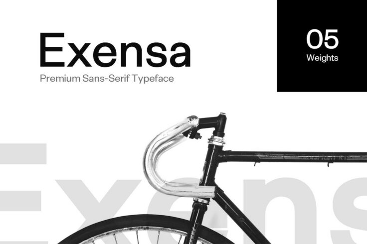 View Information about Exensa Grotesk Bold Minimal Font