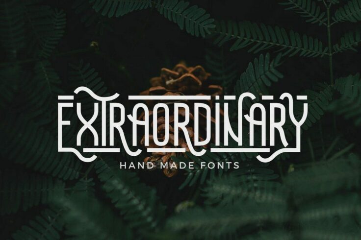 View Information about Extraordinary Handmade Font