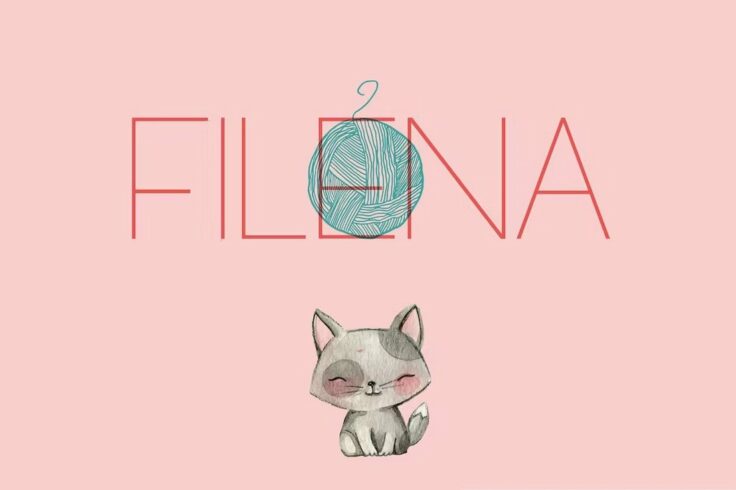 View Information about Filena Casual Sans Serif Clean Font