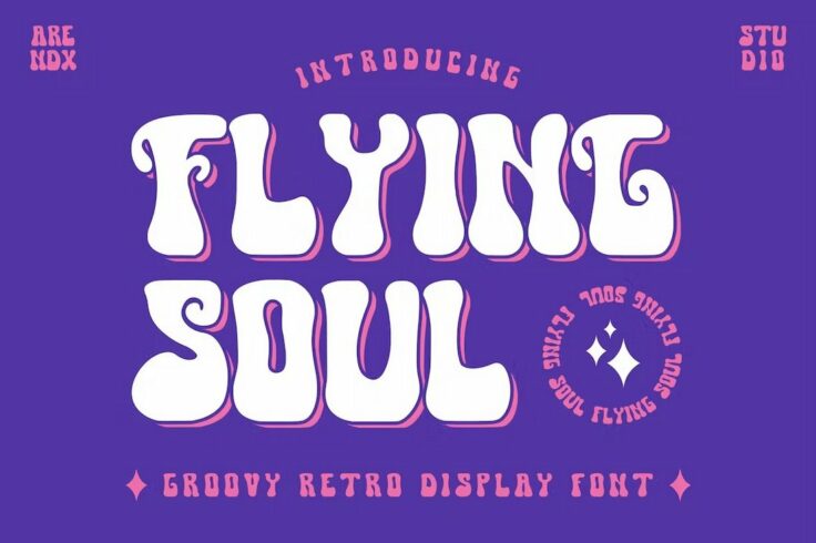 View Information about Flying Soul Groovy Retro 70s Font