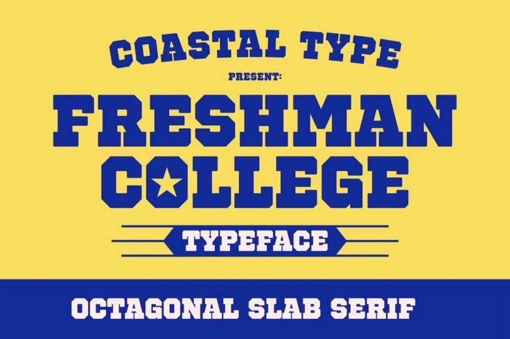 View Information about Freshman College Ocatagonal Slab Serif Font