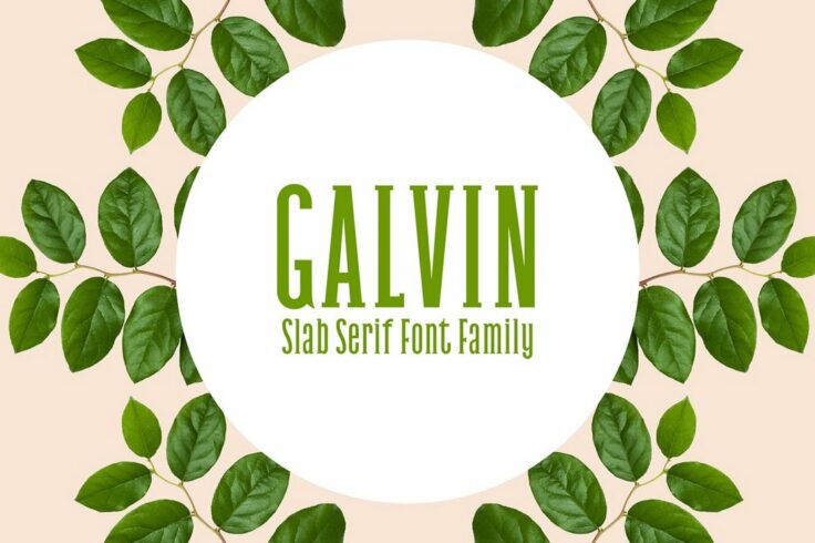 View Information about Galvin Slab Serif Font Family Pack