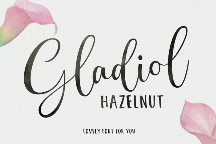 View Information about Gladiol Haze Elegant Script Font