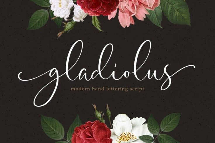 View Information about Gladiolus Feminine Calligraphy Font