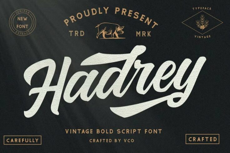View Information about Hadrey Baseball Jersey Font