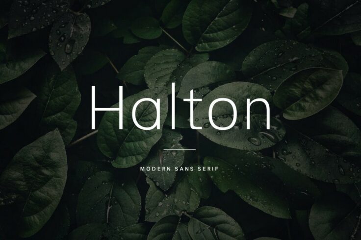 View Information about Halton Clean Sans Serif Font