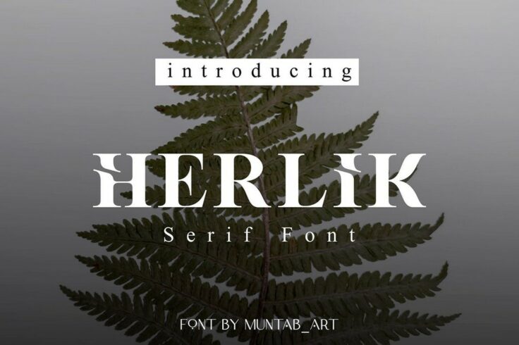 View Information about Herlik Modern Serif Font