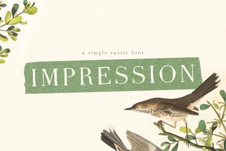 View Information about Impression Hand-Lettering Rustic Font