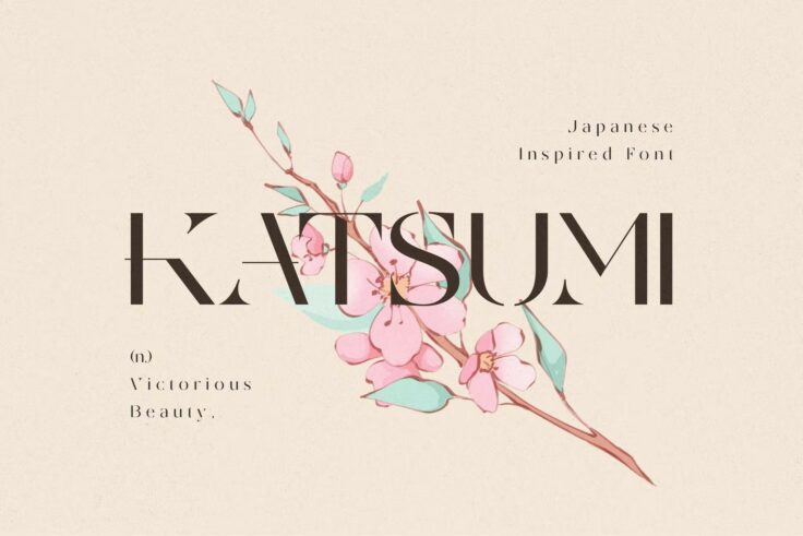 View Information about Katsumi Japanese Kanji Font