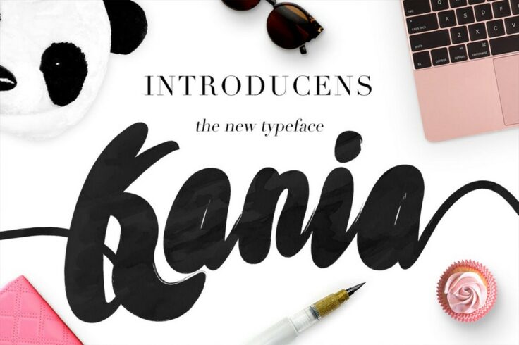 View Information about Kania Thick Brush Script Font