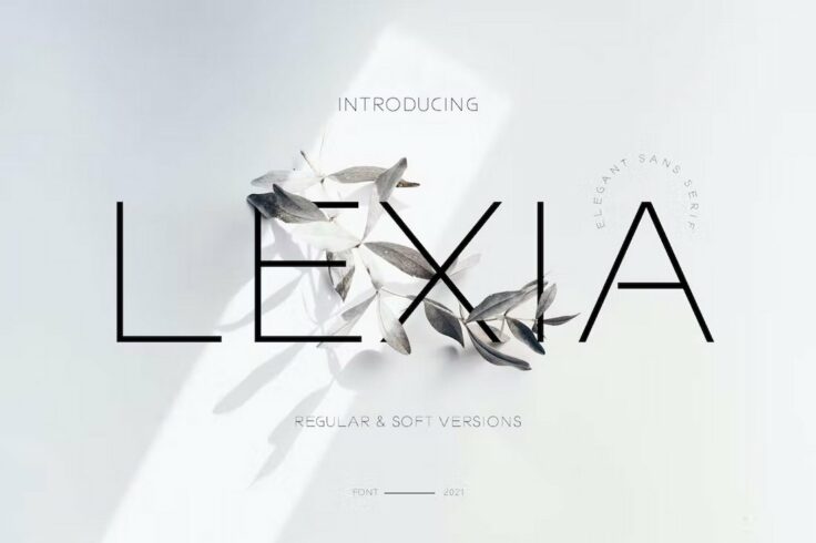 View Information about Lexia Clean Fonts for Logos