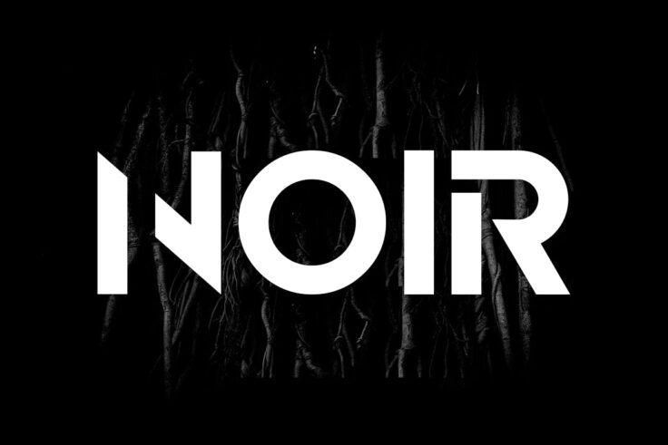View Information about Noir Modern Logo Font