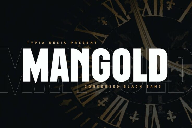 View Information about Mangold Bold Condensed Sans Font