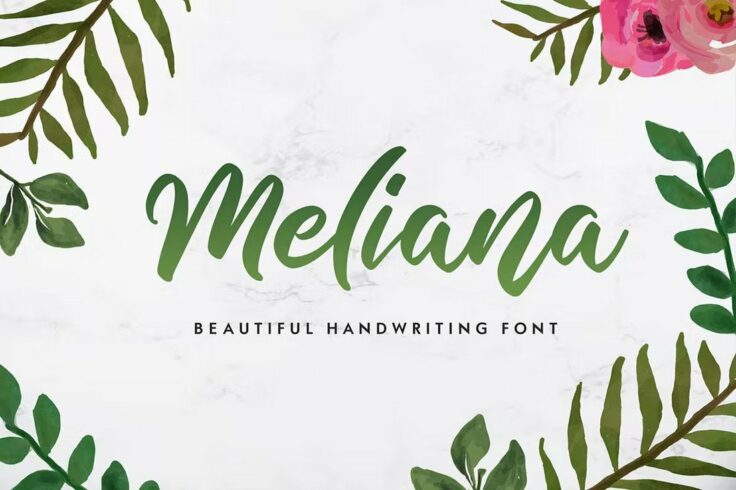 View Information about Meliana Cute Handwriting Script Font