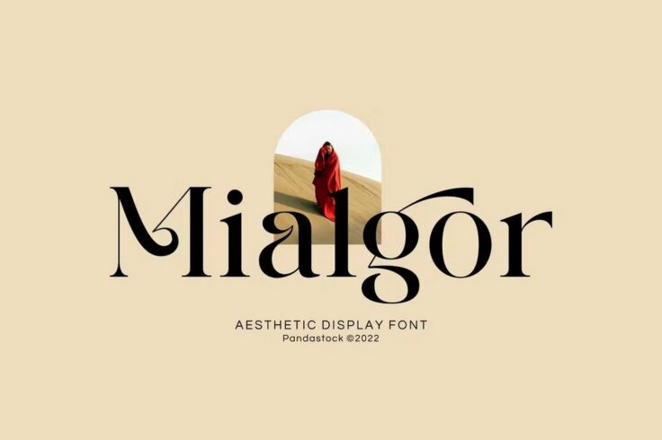 View Information about Mialgor Luxury Classy Font