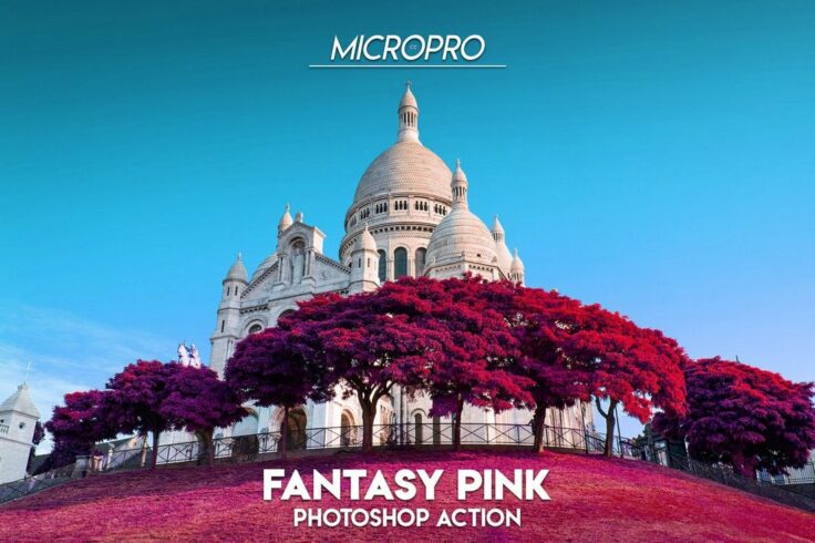 View Information about MicroPro Fantasy Pink Wedding Photoshop Action