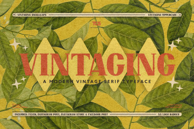 View Information about Vintaging Mid Century Font